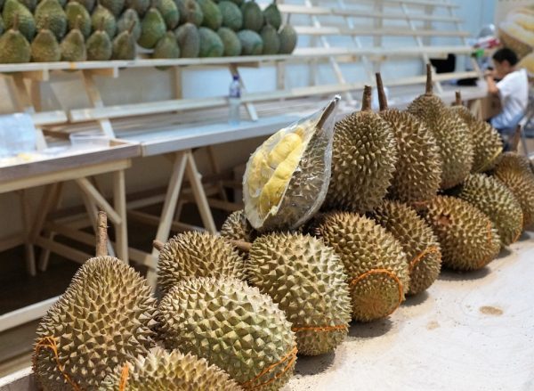 China’s imposition of GMP on durian may affect exports