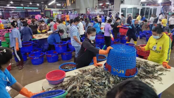 Samut Sakhon Central Shrimp Market Reopens