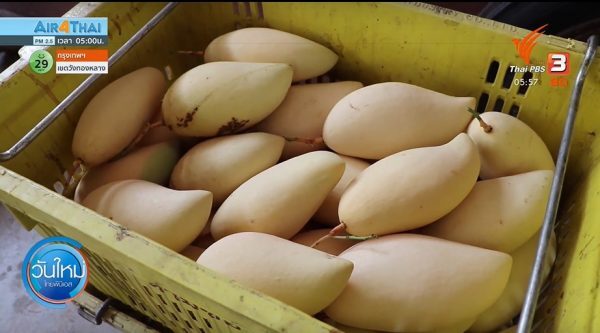 Thai fruit exports to FTA markets up 107 percent